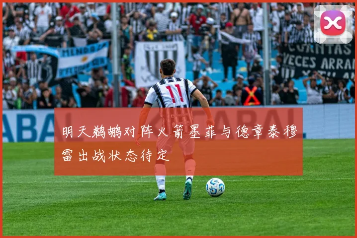 明天鹈鹕对阵火箭墨菲与德章泰穆雷出战状态待定