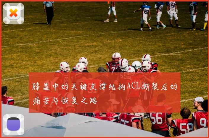 膝盖中的关键支撑结构ACL撕裂后的痛苦与恢复之路