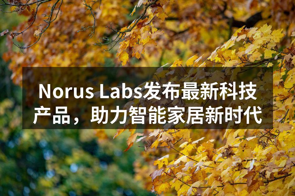 Norus Labs首席执行官发布新产品